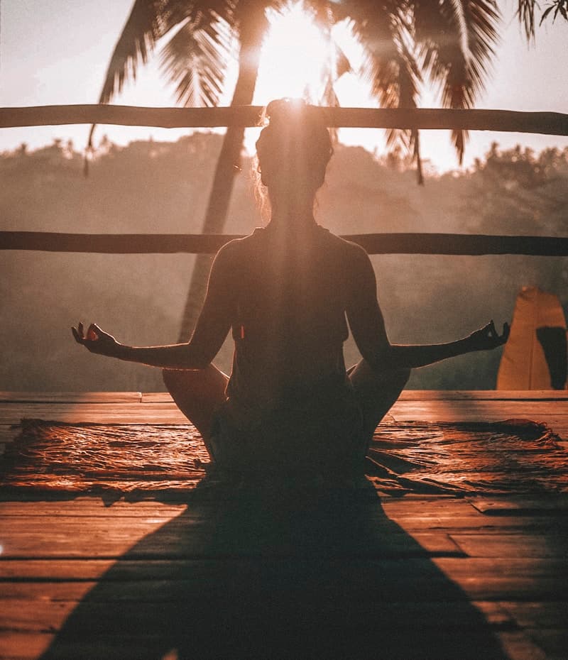 Wellness